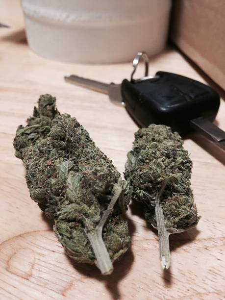 Conduite et CBD : ce qu’il faut savoir