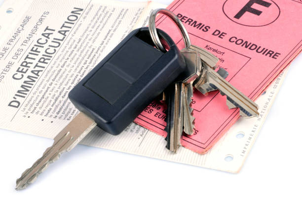Accès au permis de conduire : qui fixe les règles dans le Code de la route ?