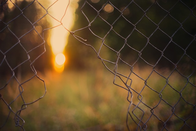 L'impact psychologique d'une peine privative de liberté