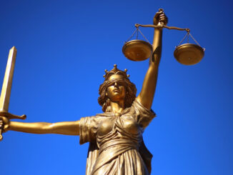 Les services d'un huissier de justice pour différents types de constats