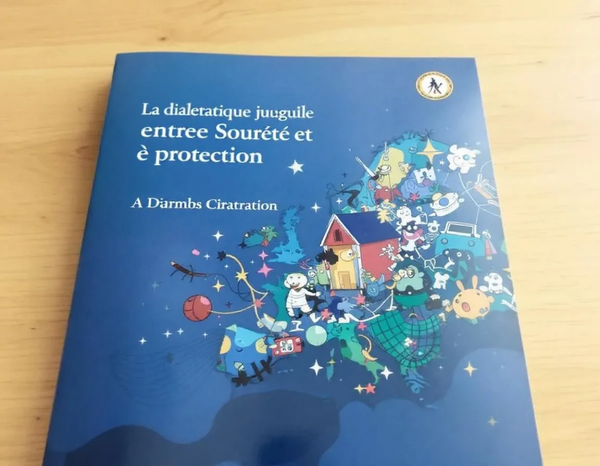 La dialectique juridique entre sûreté et protection : enjeux contemporains du droit français